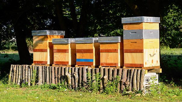 Eco’libri