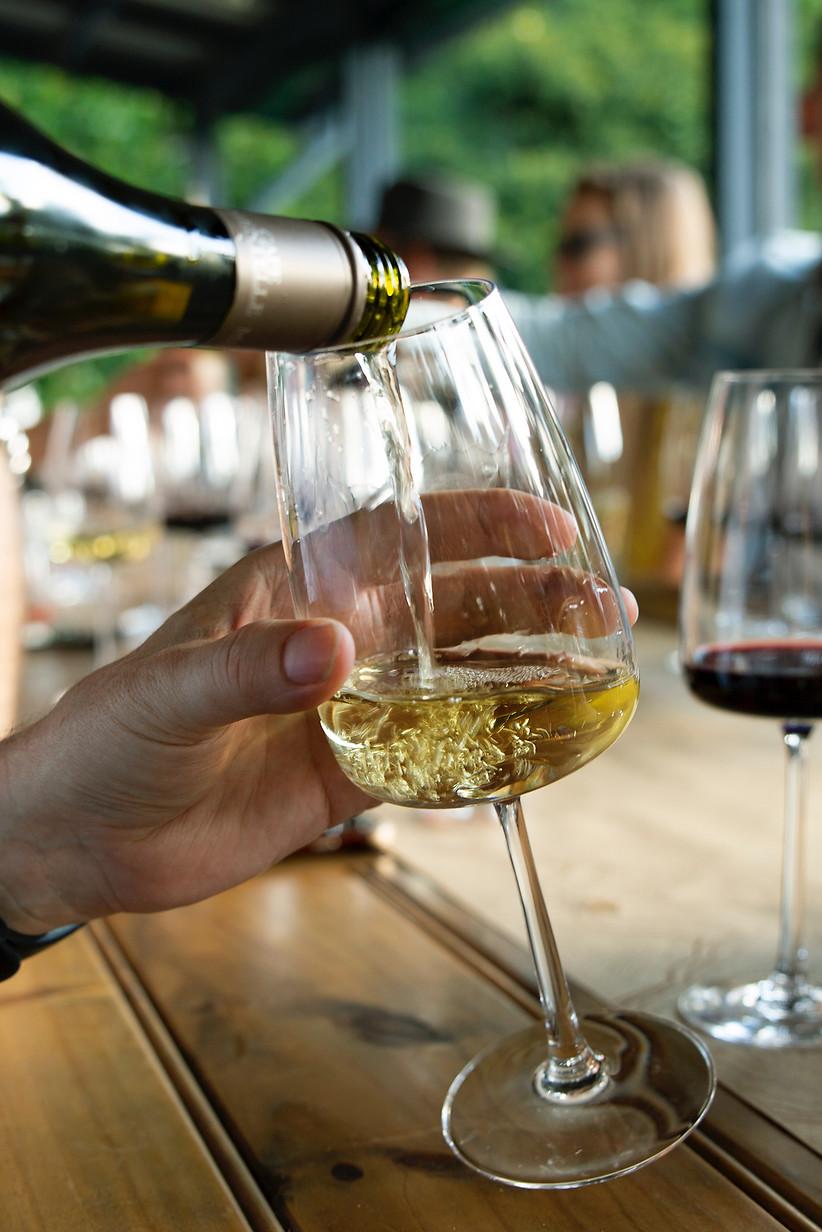 Wine tasting