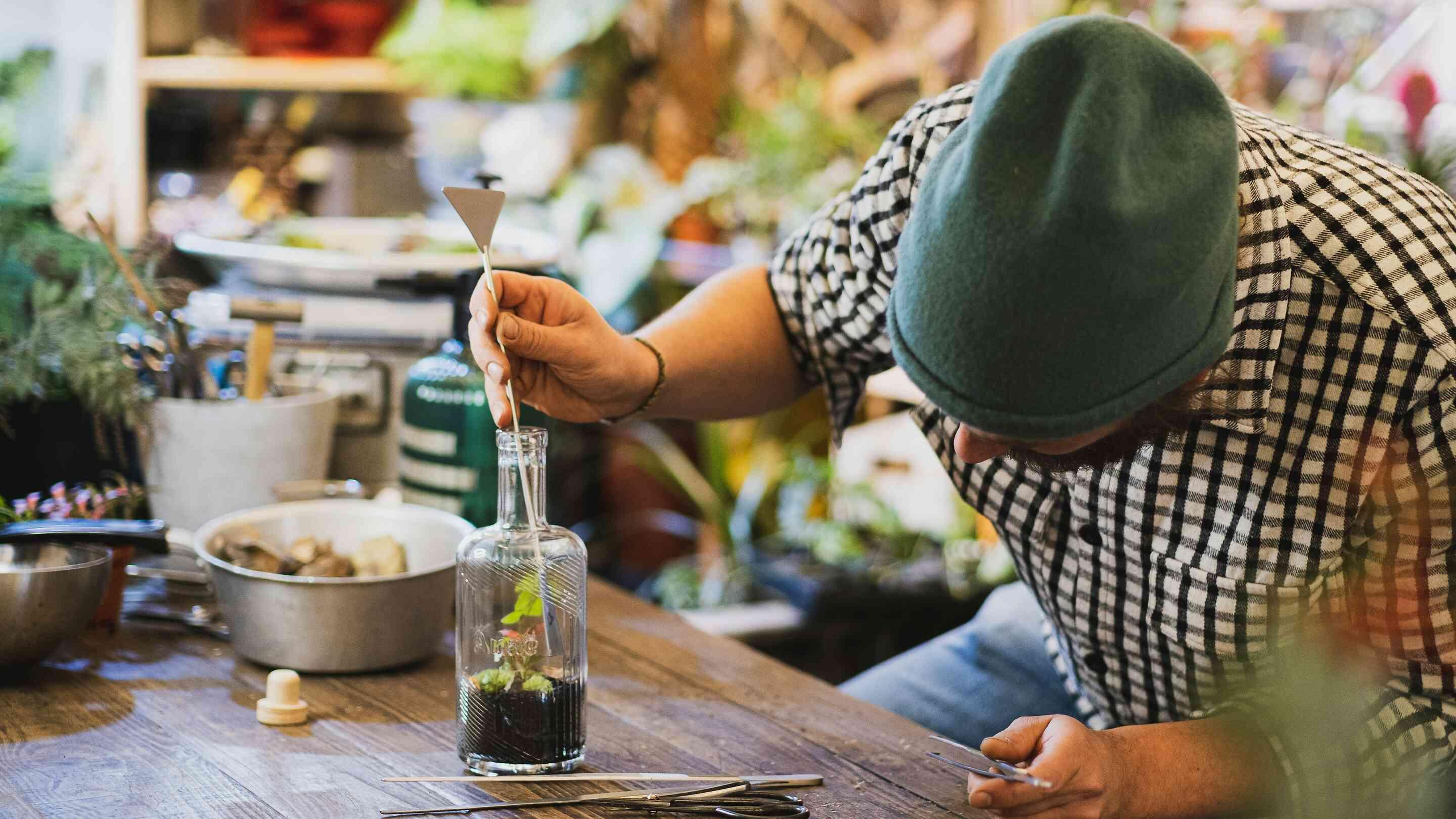 Creación de un terrario