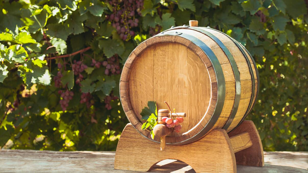 Dégustation de vins à Tenuta Travaglino