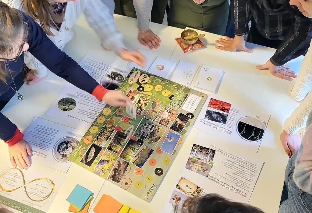 Cf animation picture