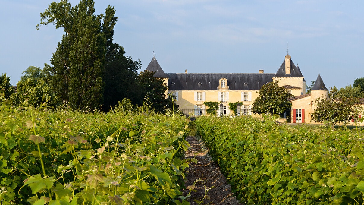 Château de Suduiraut