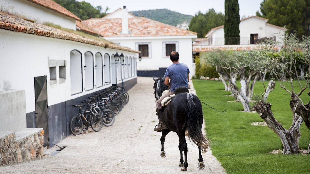 La Finca El Bosque