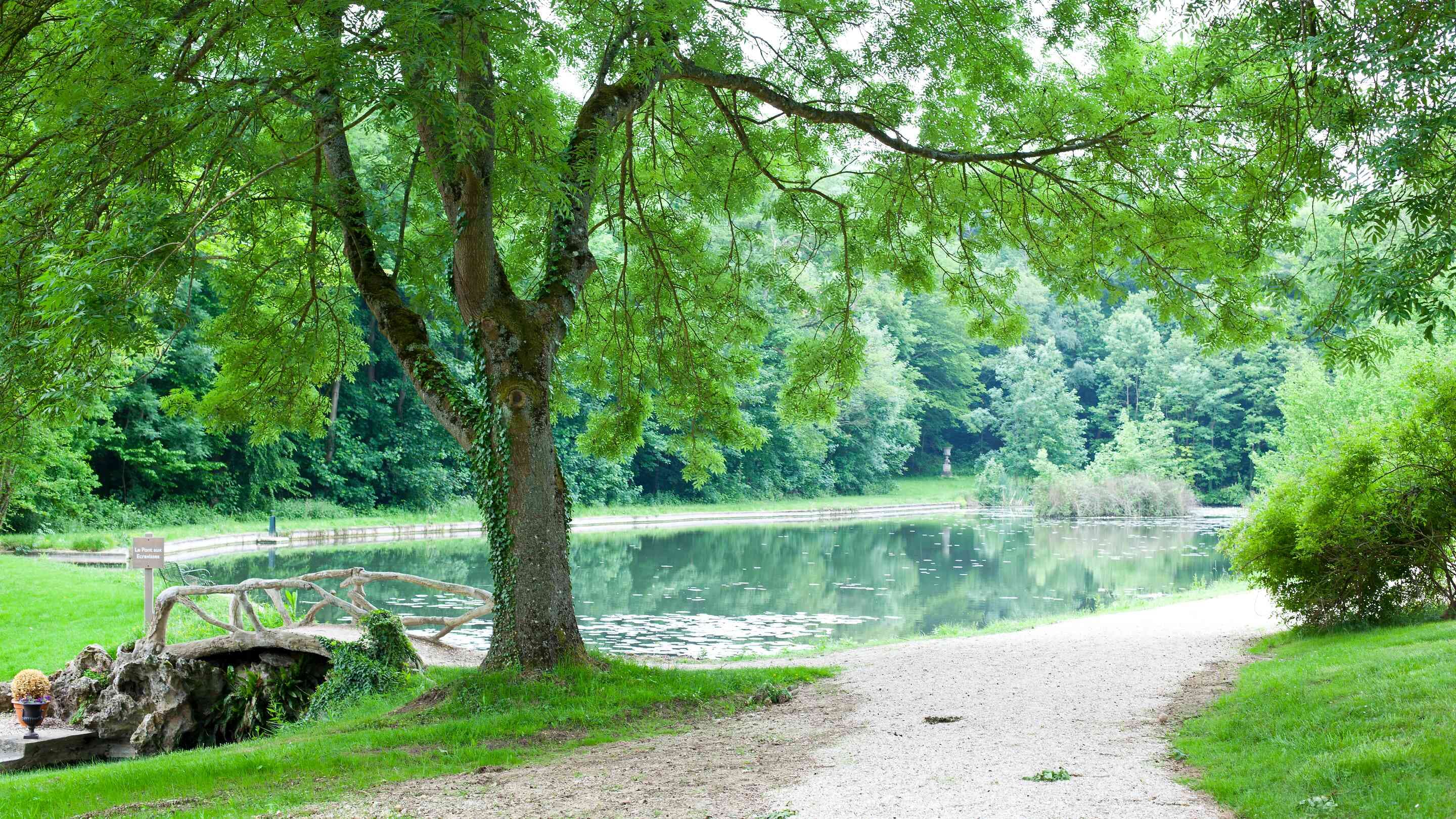 séminaire nature - étang verdure parc château | Châteauform'